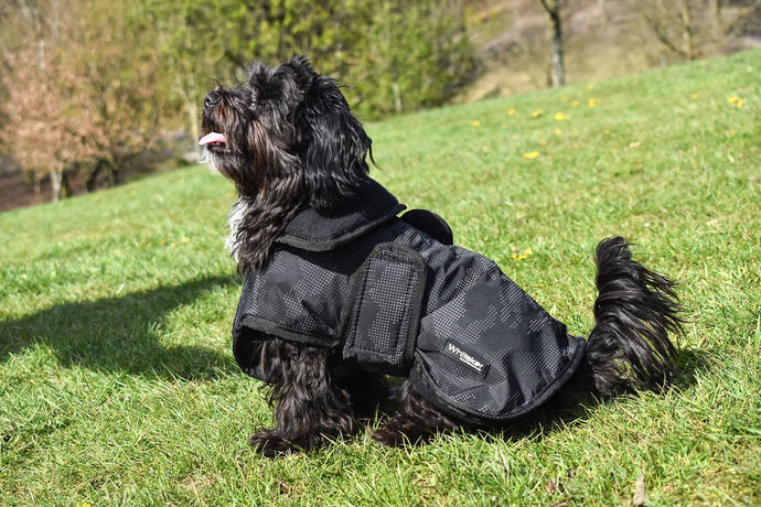 Whitaker D213 Sydney Dog Coat Reflective Black Camo - Ashurst Equestrian & Country