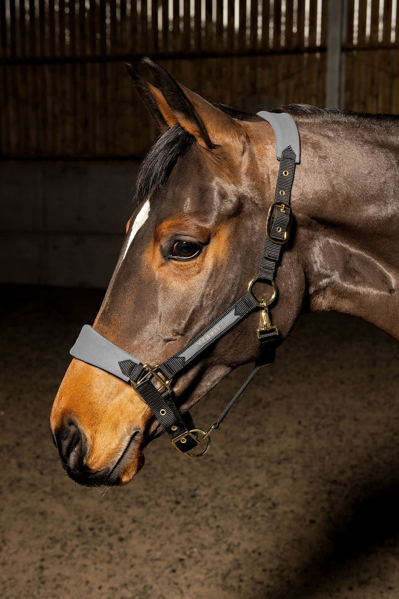 Load image into Gallery viewer, Whitaker Hc096 Harewood Headcollar Grey - Ashurst Equestrian &amp; Country
