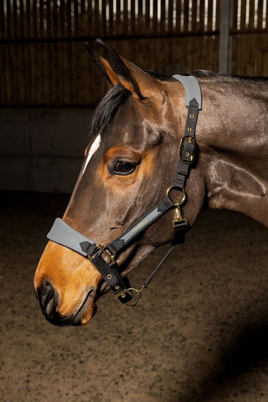 Whitaker Hc096 Harewood Headcollar Grey - Ashurst Equestrian & Country
