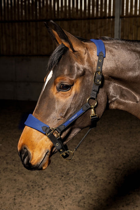 Whitaker Hc096 Harewood Headcollar Navy - Ashurst Equestrian & Country