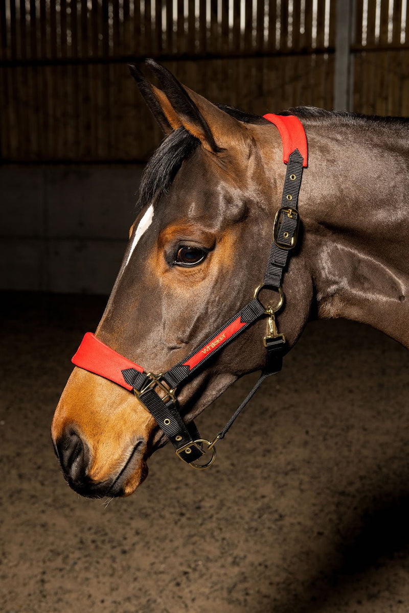 Load image into Gallery viewer, Whitaker Hc096 Harewood Headcollar Red - Ashurst Equestrian &amp; Country
