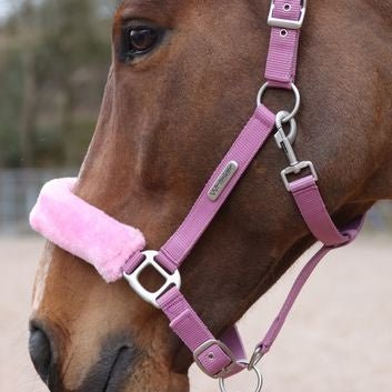 Whitaker Hc170 Leyburn Headcollar & Lead Rope Pink - Ashurst Equestrian & Country
