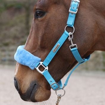 Whitaker Hc170 Leyburn Headcollar & Lead Rope Turquoise - Ashurst Equestrian & Country