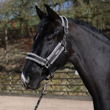 Whitaker Hc171 Holmfirth Furry Headcollar & Lead Rope Black - Ashurst Equestrian & Country