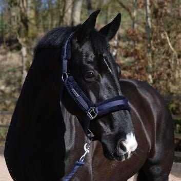 Whitaker Hc171 Holmfirth Furry Headcollar & Lead Rope Navy - Ashurst Equestrian & Country