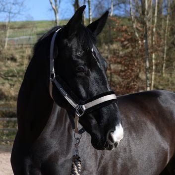 Whitaker Hc171 Holmfirth Furry Headcollar & Lead Rope Taupe - Ashurst Equestrian & Country
