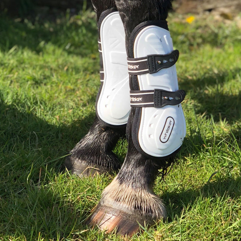 Load image into Gallery viewer, Whitaker Lp083 Bingley Tendon Boots White - Ashurst Equestrian &amp; Country
