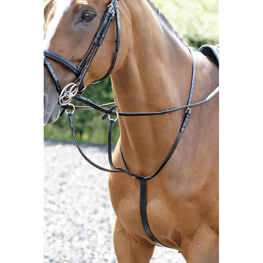 Whitaker Ma077 Barton Martingale Black - Ashurst Equestrian & Country