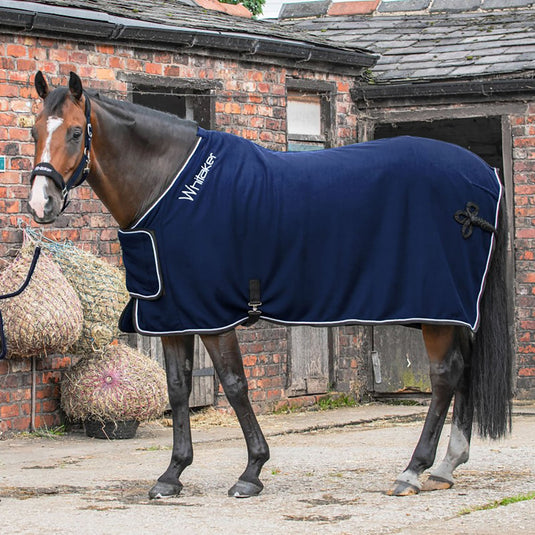 Whitaker R160 Club Show Rug Navy - Ashurst Equestrian & Country
