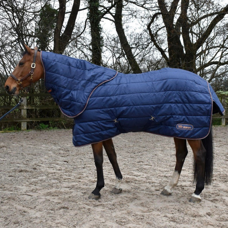 Load image into Gallery viewer, Whitaker R361 Wisteria 200 G Stable Rug Combo Navy - Ashurst Equestrian &amp; Country
