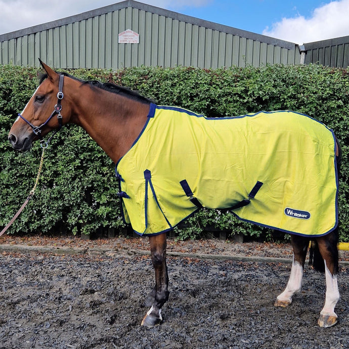 Whitaker R370 Allerton Multi Function Cotton Sheet Yellow - Ashurst Equestrian & Country