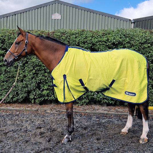 Whitaker R370 Allerton Multi Function Cotton Sheet Yellow - Ashurst Equestrian & Country