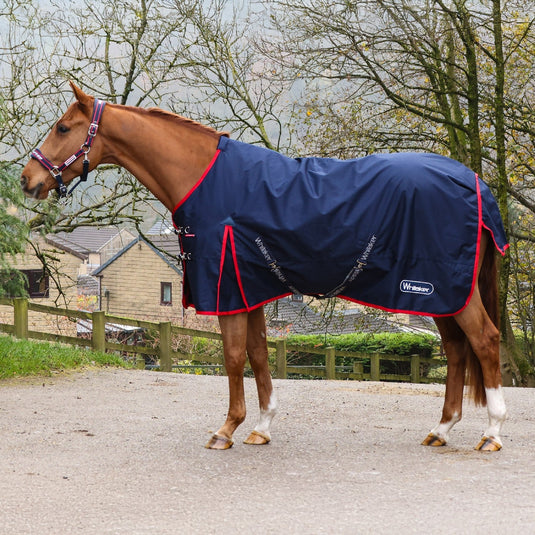 Whitaker R442 V2 50 G Standard Turnout Rug Navy - Ashurst Equestrian & Country