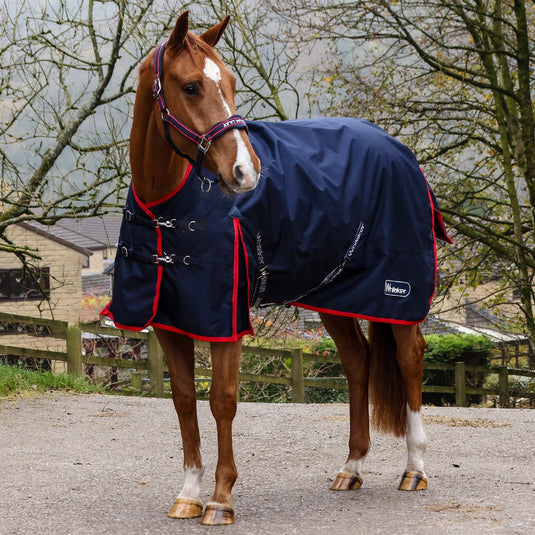 Whitaker R442 V2 50 G Standard Turnout Rug Navy - Ashurst Equestrian & Country