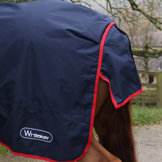 Whitaker R442 V2 50 G Standard Turnout Rug Navy - Ashurst Equestrian & Country