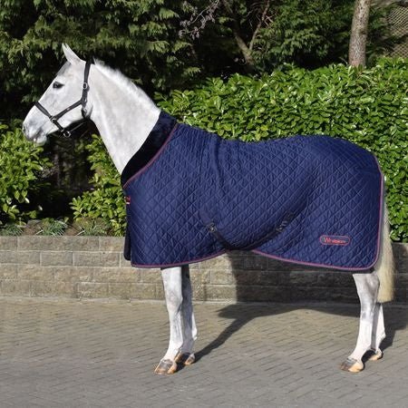 Whitaker R472 Rastrick V2 100 G Cosy Rug Navy - Ashurst Equestrian & Country
