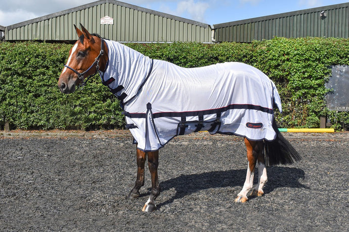 Whitaker Rastrick Fly Rug Mesh White - Ashurst Equestrian & Country