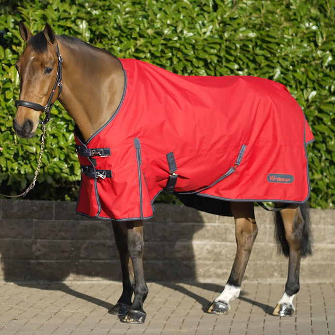 Whitaker Rastrick Turnout Rug 100 Gm Red - Ashurst Equestrian & Country