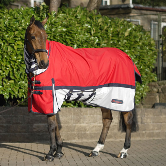 Whitaker Rastrick Turnout Rug Airflow Combo - Ashurst Equestrian & Country
