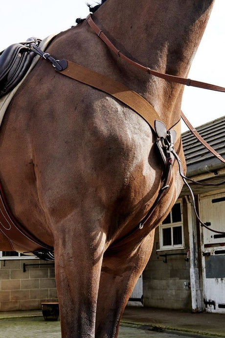 Whitaker Ready To Ride Breastplate Havana - Ashurst Equestrian & Country