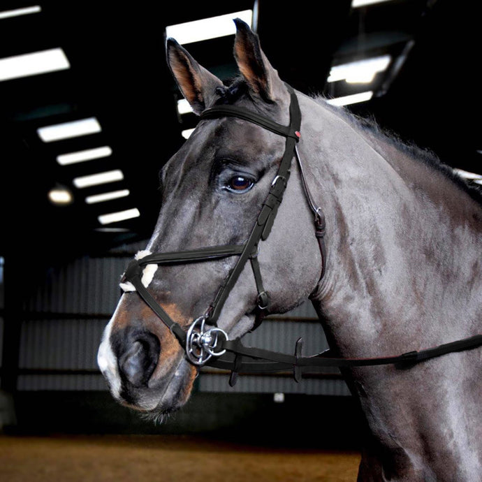 Whitaker Ready To Ride Mexican Bridle - Ashurst Equestrian & Country
