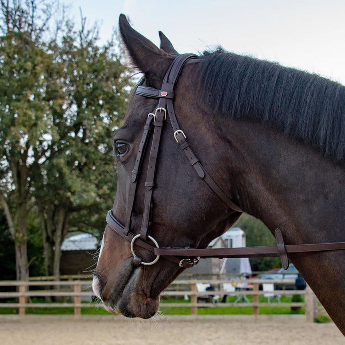 Whitaker Ready To Ride Snaffle Bridle Havana - Ashurst Equestrian & Country