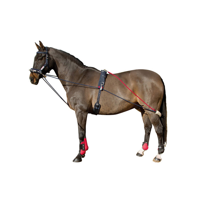 Whitaker Training System - Ashurst Equestrian & Country