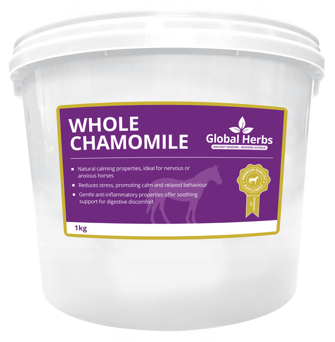 Whole Chamomile - Global Herbs - Ashurst Equestrian & Country