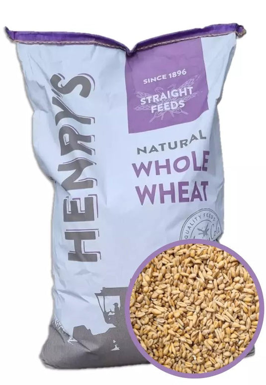 Whole Wheat 20kg - Ashurst Equestrian & Country