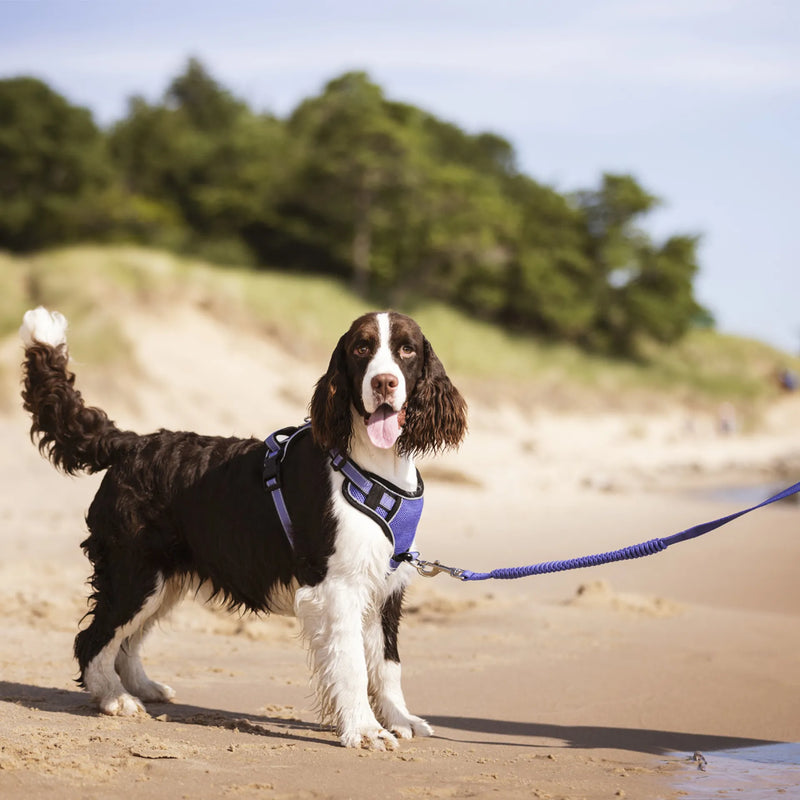Load image into Gallery viewer, Le Mieux Winchester Mesh Dog Harness
