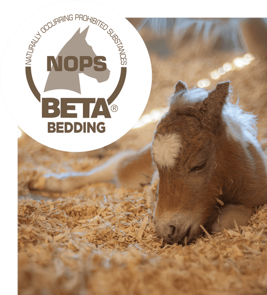 Wood & Slumber Wood Shavings (20kg approx) - Ashurst Equestrian & Country
