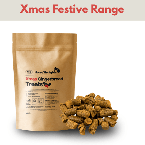 Load image into Gallery viewer, Xmas Gingerbread Treats 1kg - Ashurst Equestrian &amp; Country
