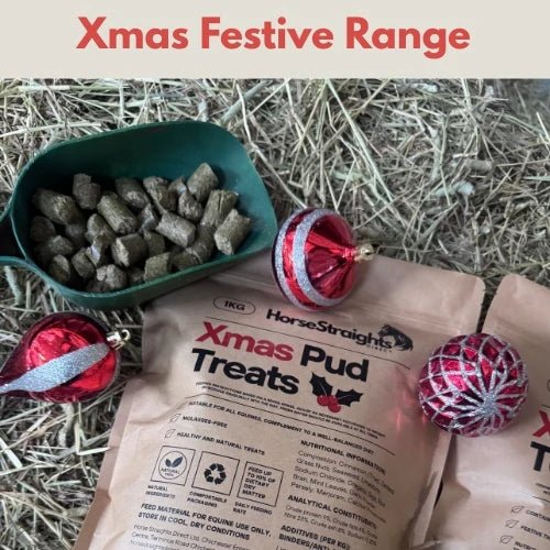 Load image into Gallery viewer, Xmas Pud Treats 1kg - Ashurst Equestrian &amp; Country
