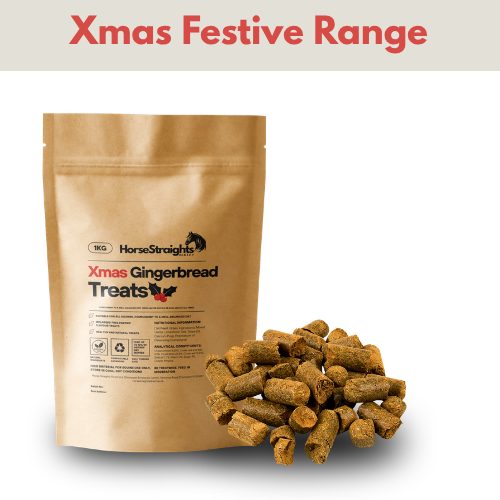 Load image into Gallery viewer, Xmas Gingerbread Treats 1kg
